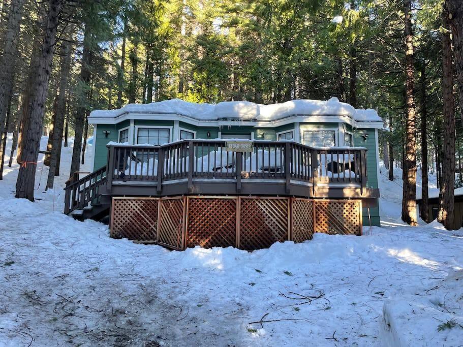 Cedar Oasis - Home Base To Big Trees Arnold Exterior foto